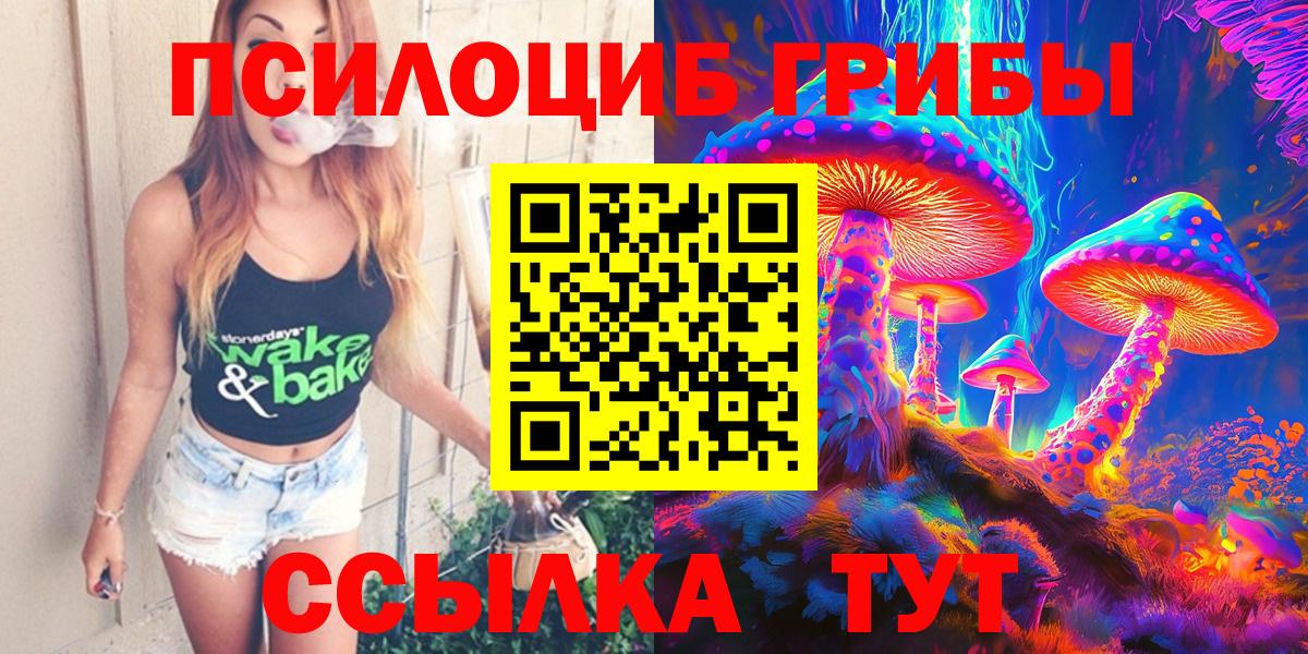 Галлюциногенные грибы Psilocybe Еманжелинск