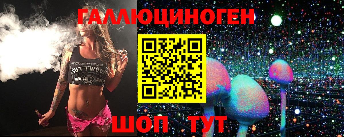 Галлюциногенные грибы Psilocybine cubensis  Вход с VPN  Еманжелинск 